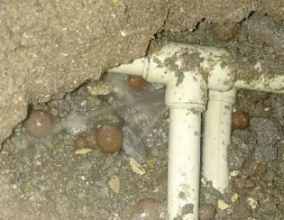 桑日卫生间测漏