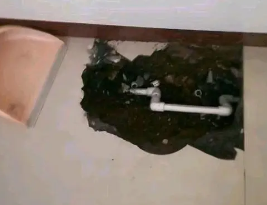 桑日卫生间测漏水多少钱